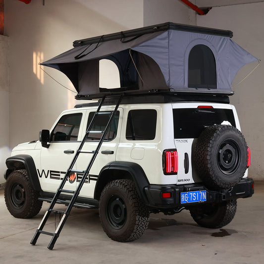 Tienda de Techo para 2-3 Personas con Carcasa Rígida de Aluminio y Lona Impermeable